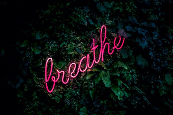 Breathe, Meditate
